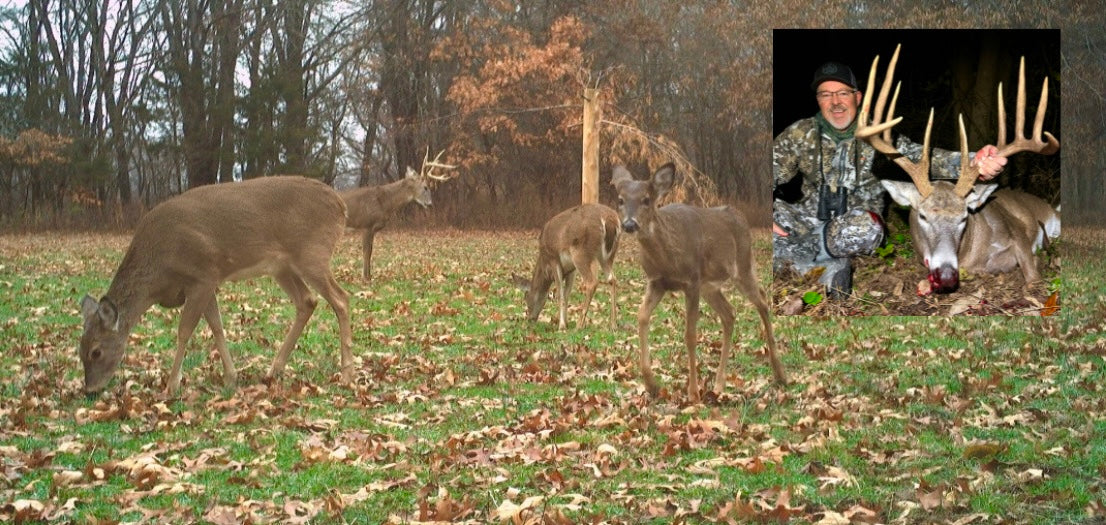 Food Plot 10 with David Brothers from Midwest Land Group