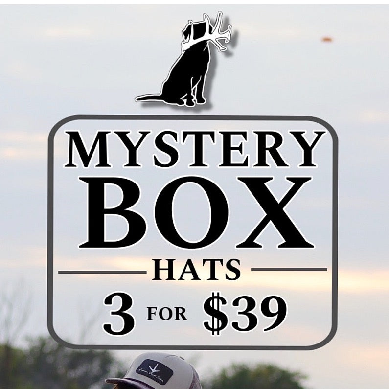 Mystery Box 3 for $39